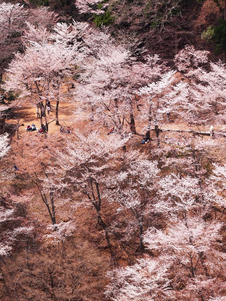 吉野山～奥千本～②