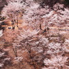 吉野山～奥千本～②