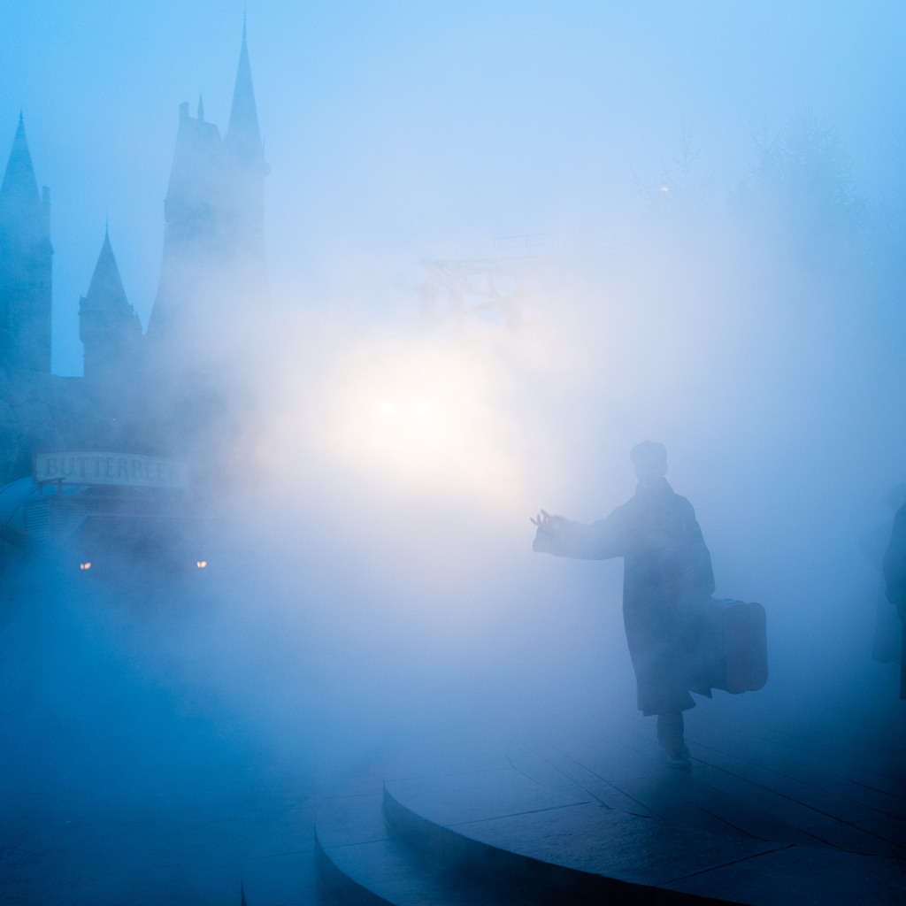 The Wizarding World of Harry Potter