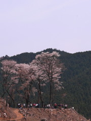 吉野山～奥千本～③