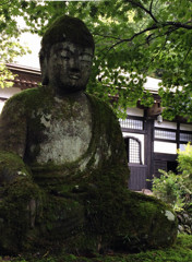苔のむすまで