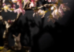 一足先に