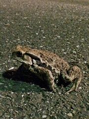 深夜の出会い
