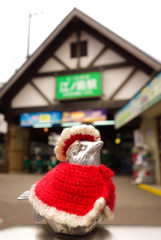 冬の装い♪
