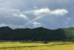 雨あがりの午後