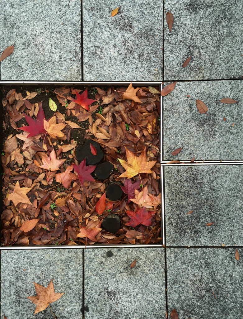 Autumn　 small window