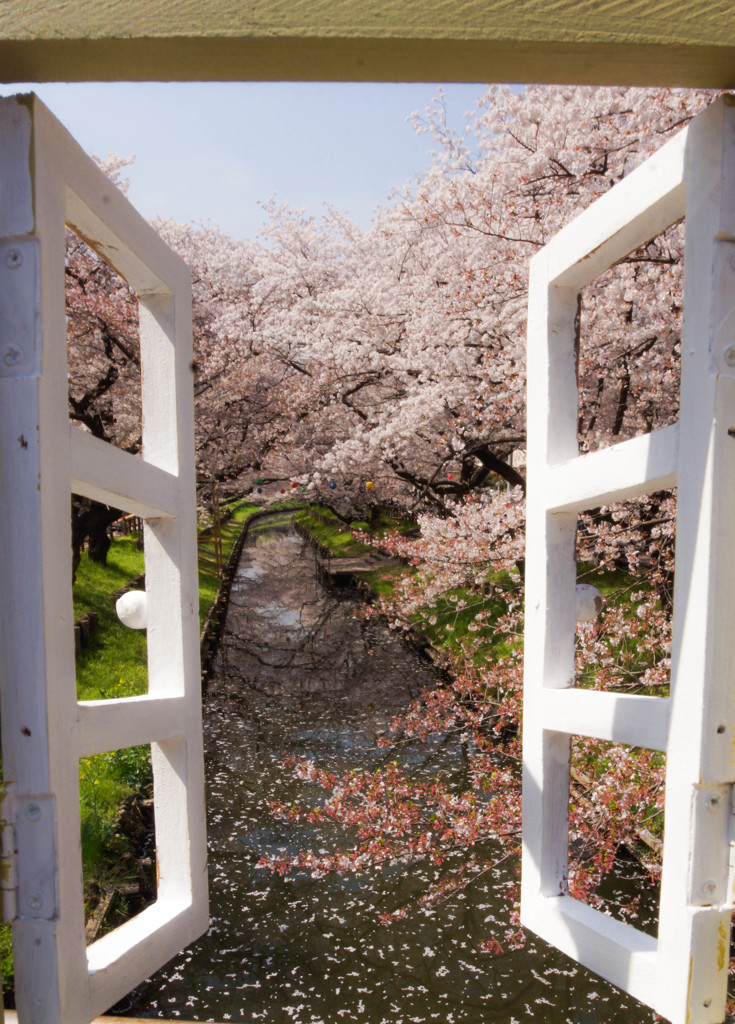 Heaven' door