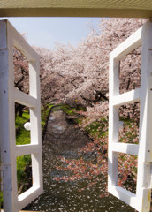Heaven' door