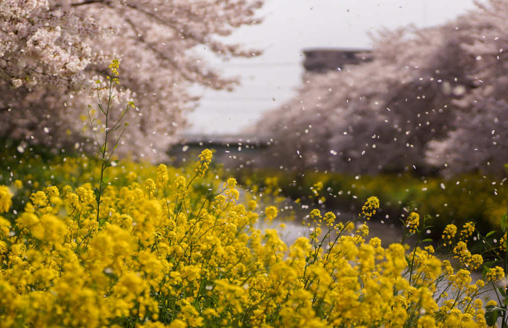 spring storm