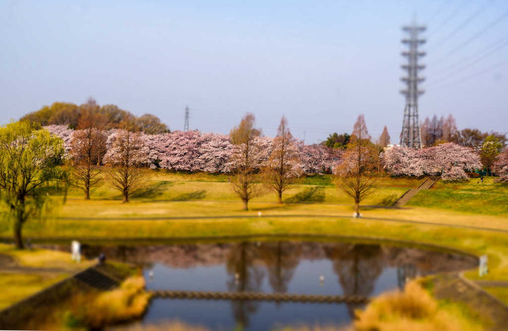 公園模型