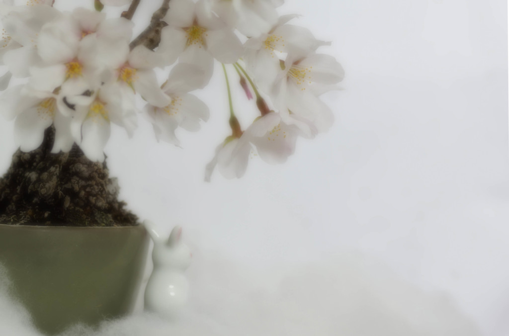 夢幻