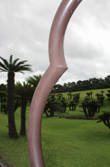 ソテツ園②