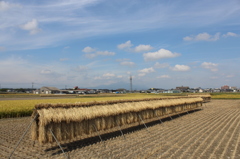 霧島と掛け干し