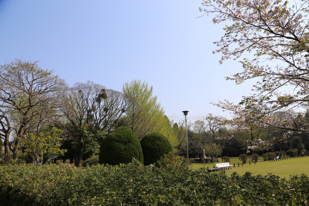 近場の公園でパチリ⑥