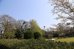 近場の公園でパチリ⑥