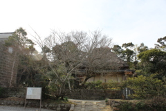 旧増田家住宅①