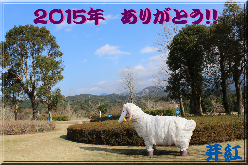 ２０１５年ありがとうございました＾＾