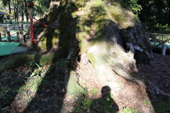 山宮神社⑥