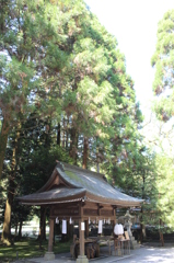 都農神社その５