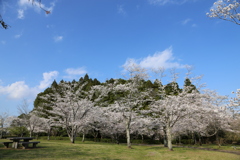 くまそ広場にて⑥