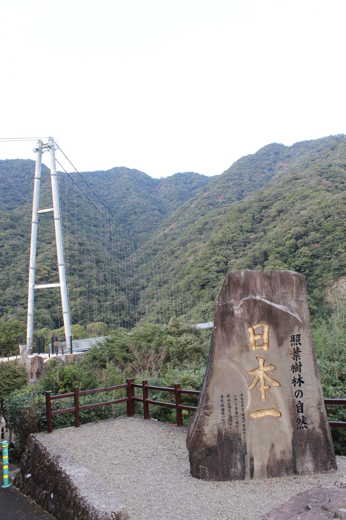 揺れる吊り橋⑤