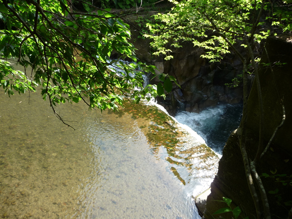 新緑と長田峡その１