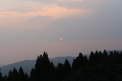 夕暮れ時は寂しそう③