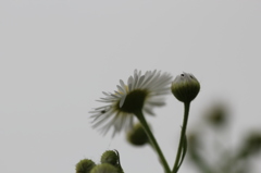 ミステリーゾーン