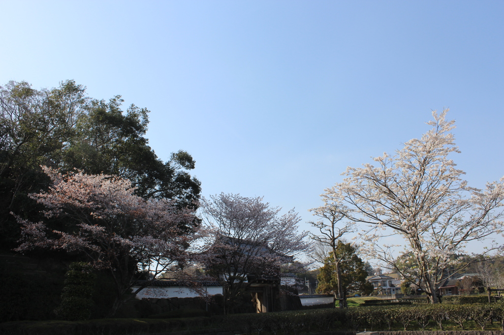 城山公園（都城歴史資料館）③