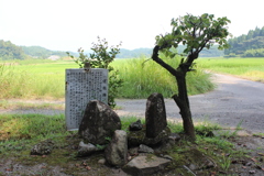檍（あおき）神社参り③