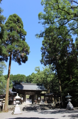都農神社その６