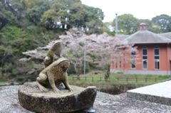 オンブガエル