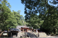 蒲生八幡神社その５