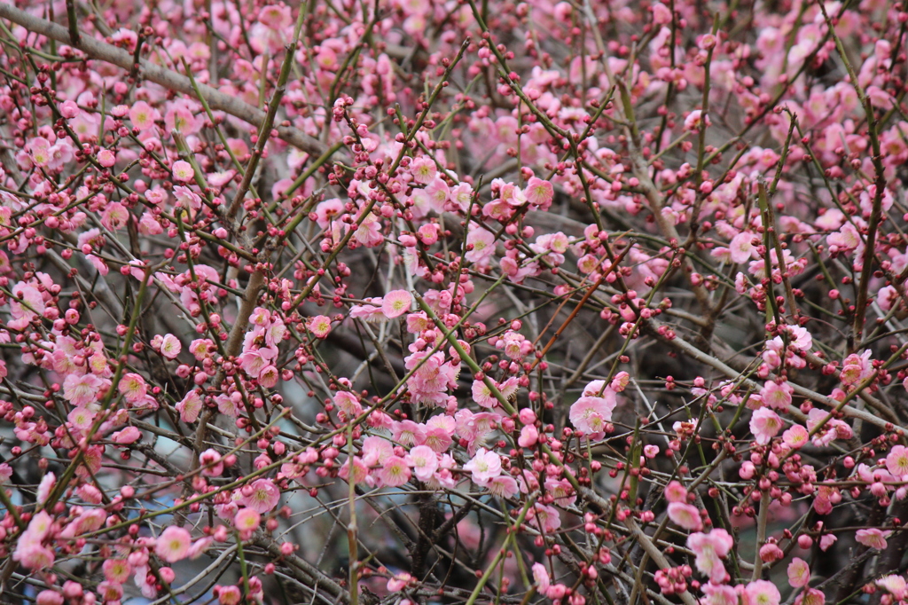 時には、パッと明るく・・・