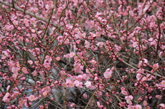 時には、パッと明るく・・・