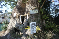 田崎神社③