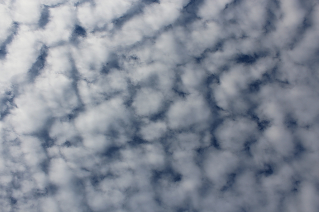 巨大うろこ雲その１