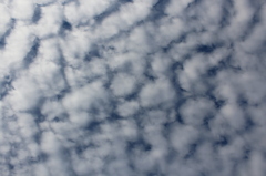 巨大うろこ雲その１
