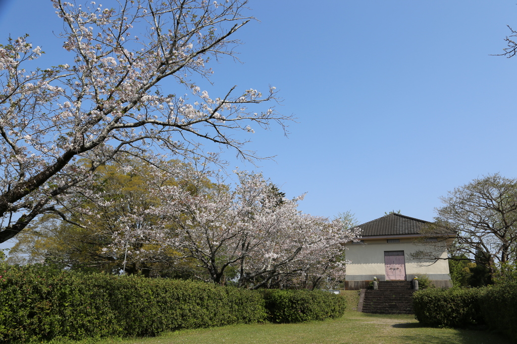 近場の公園でパチリ⑤