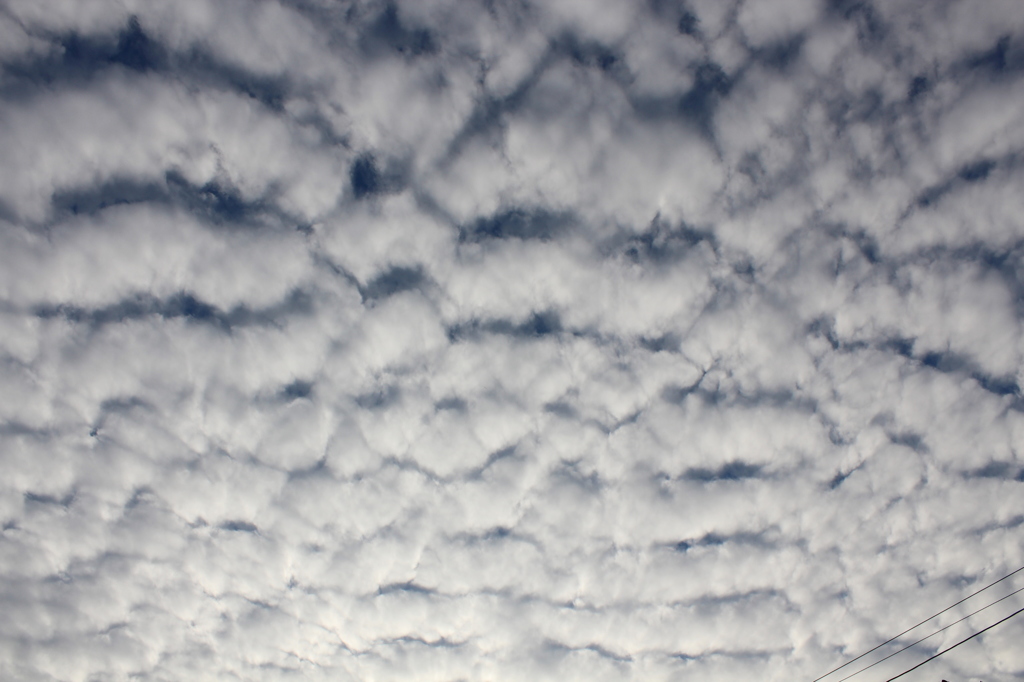 巨大うろこ雲その２
