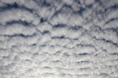 巨大うろこ雲その２