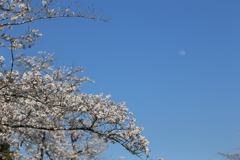 くまそ広場にて⑦