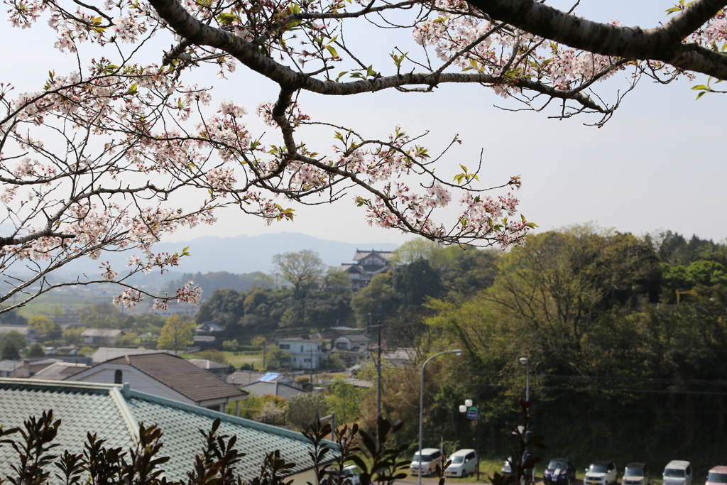 近場の公園でパチリ①