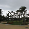 暗雲の中の植物園①