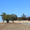 弥五郎どん①
