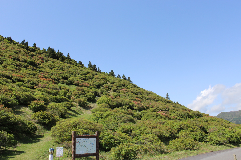 高峠つつじ無い公園③
