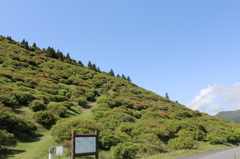 高峠つつじ無い公園③