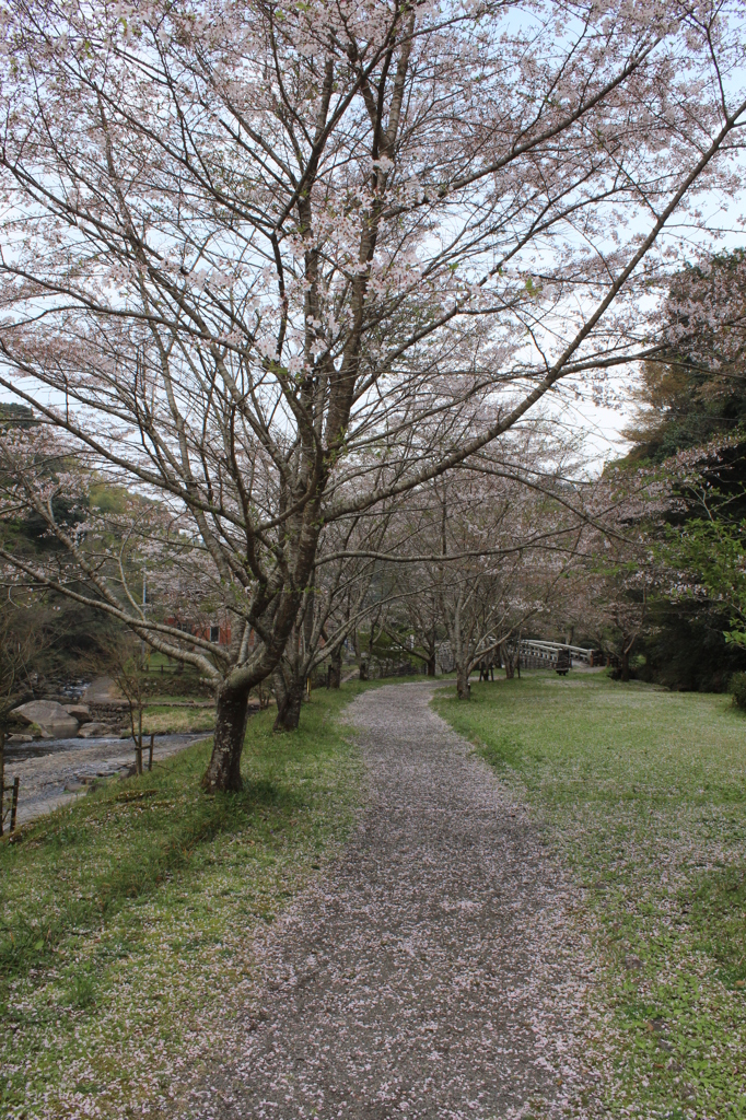 観音滝公園その２