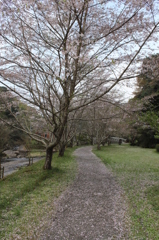 観音滝公園その２