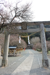 藤川天神（臥竜梅）②